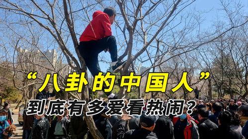 缅甸战争中国吃瓜,这场战争背后的瓜，你吃了吗？