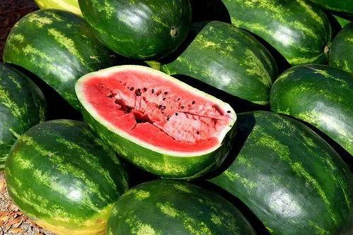 打架吃瓜下载