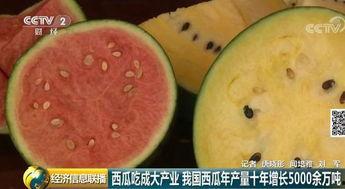 大黄陂吃瓜群众,揭秘民间舆论场的热点与焦点