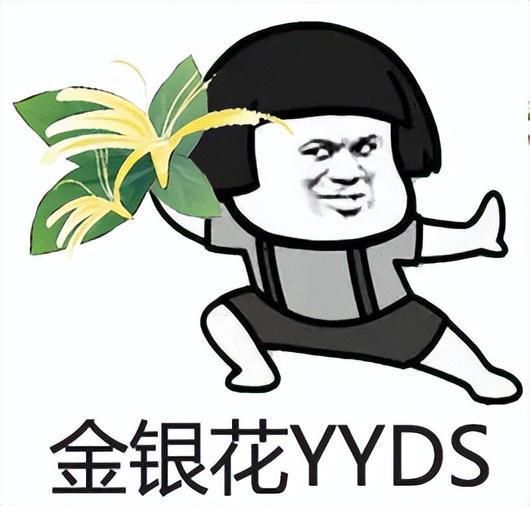 吉言吃瓜