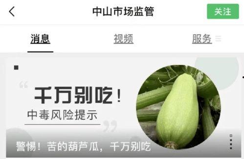 吃葫芦瓜搞笑文案,笑料横生的美食奇遇记
