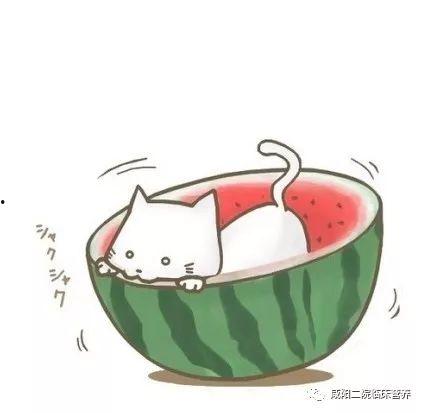 曼奇漫画吃瓜
