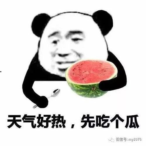 吃瓜不怎么回复,幕后真相待揭晓