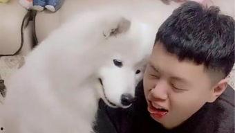 吃瓜人与狼