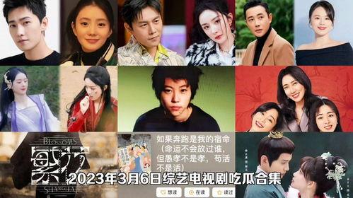 吃瓜视频解说大全,揭秘娱乐圈幕后故事