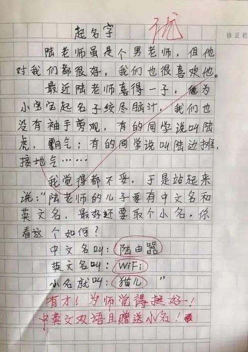 老师吃瓜作文,一场别开生面的吃瓜作文课